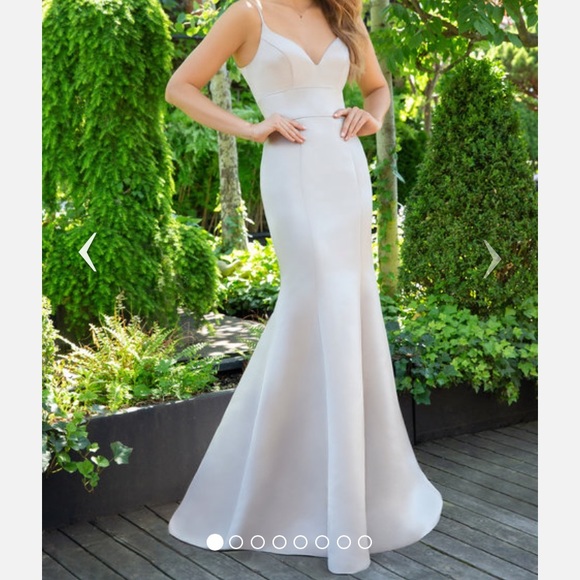 Hayley Paige Occasions Dresses & Skirts - Hayley Paige Bridesmaids Dress Size 8